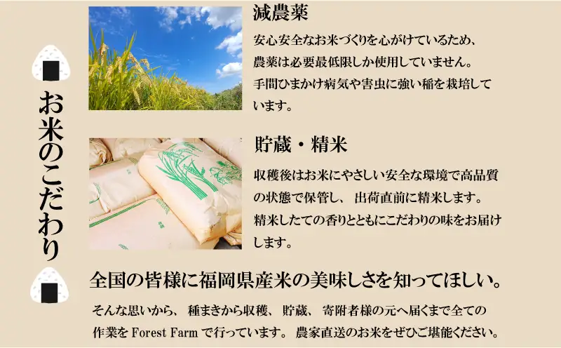 【令和8年産先行予約！2026年10月発送】米 元気つくし 10kg 3回定期便 |米 FRF