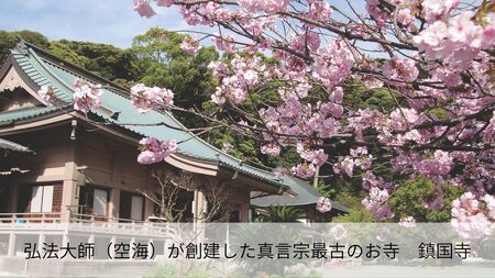 神職が語る宗像大社の真髄 ～世界遺産・宗像大社めぐり＆神職ガイド付き日帰り旅(1～3名同額プラン)～【観光創造DMOむなかた】_HA1868 宗像大社 世界遺産 神職 ガイド付き 日帰り旅 日帰り 旅 福岡県宗像市 宗像市 福岡 宗像