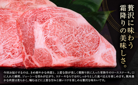 常陸牛 黒毛和牛 ロース ステーキ 500g きらいち結城店《90日以内に出荷予定(土日祝除く)》茨城県 結城市肉国産ブランド牛
