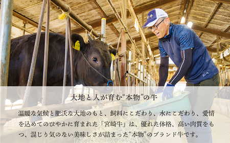 宮崎牛うで・ももスライス450g すき焼きしゃぶしゃぶ用（2～3人前） 内閣総理大臣賞4大会連続受賞のお肉 ブランド牛 黒毛和牛 大人気のヘルシーな牛肉 [和牛 国産 黒毛和牛] TF0901-P00020 