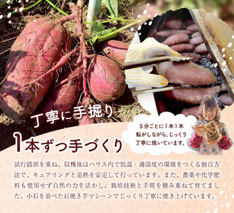 冷凍 焼きいも 約1kg シルクスイート 安納芋 ベニアズマ 紅はるか ハロウィンスイート 北海道