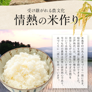 木島平産 こしひかり 10kg | 米 こしひかり コシヒカリ 定番 品種 特別栽培 寒暖差 木島平村 長野県 信州 コシヒカリ