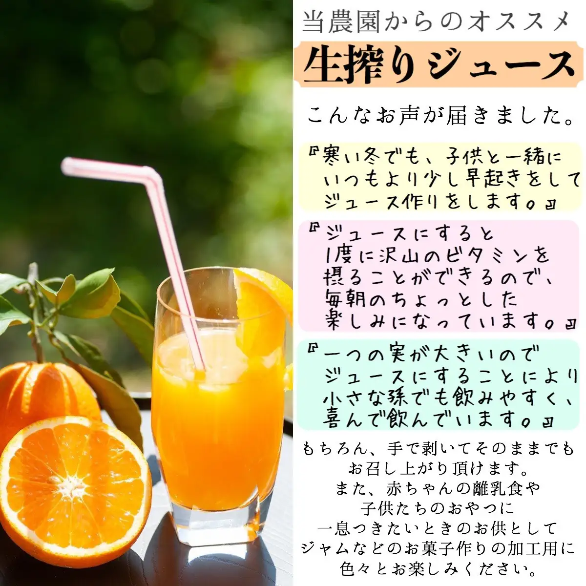 訳あり 清見オレンジ 混合 7.5Kg【令和9年3月から発送】清見オレンジ