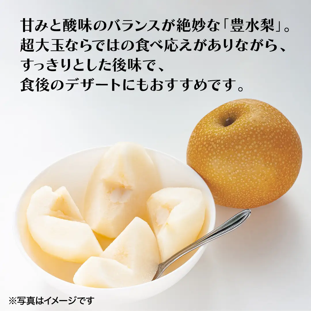 豊水 超大玉 約 3kg 3～4玉 (茨城県共通返礼品:かすみがうら市) 2026年 マスカット ぶどう 葡萄 ブドウ フルーツ 果物 くだもの 旬 食べ比べ セット 詰め合わせ 国産 産地直送 ギフト 贈答 プレゼント 手土産 お土産 [DH023sa]