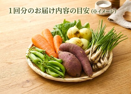 B2-7805　【3回定期便】野菜セット（7品目前後/1回）
