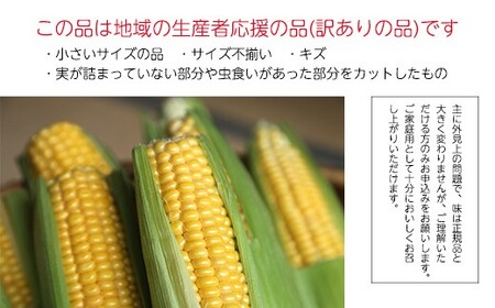 ≪2026年先行予約≫【お天道農園】ご家庭用 山形県産 とうもろこし ゴールドラッシュ 3kg 2026年8月上旬から順次発送 F2Y-6976