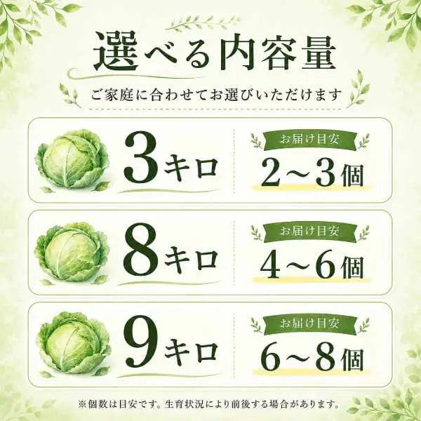 【2026年出荷分先行予約】富士山キャベツ　3kg