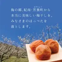 無添加梅干し 【A級品】紀州南高梅 紀州完熟白干し梅 1kg 塩分23％ / 南高梅 和歌山県産 天日塩 調味料不使用 添加物不使用 保存料不使用 熱中症対策 昔ながら しょっぱい梅 返礼品 ギフト 贈り物 お中元 お歳暮 贈答 熨斗対応可 せんのうめ 仙宝 【spo012】  