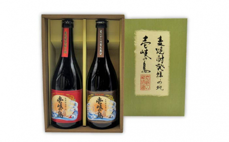 【全12回定期便】壱岐の島 伝匠 と 壱岐の島 25度 720ml 2本入りセット 《壱岐市》【天下御免】[JDB233]