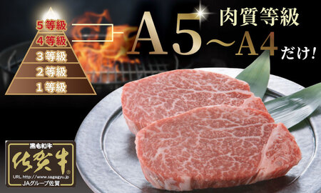 【定期便】佐賀牛 シャトーブリアン 400ｇ・ヒレ ステーキ 600ｇ（全6回／偶数月） 冷凍 赤身 国産 お肉 ブランド牛 牛肉 ステーキ フィレ 希少部位 贅沢 川べぇ  Q750-001