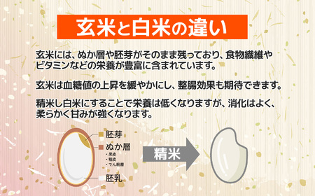 令和7年産 新潟県産『コシヒカリ 玄米』5kg（精米不可）プロも太鼓判！熟練農家のうまい米 2025年産 農家直送 吉農園【新潟県 糸魚川市 米 お米 こめ コメ ご飯 ライス ふるさと納税米 ブランド米 おすすめ ギフト 5キロ 精米不可 人気 食品】