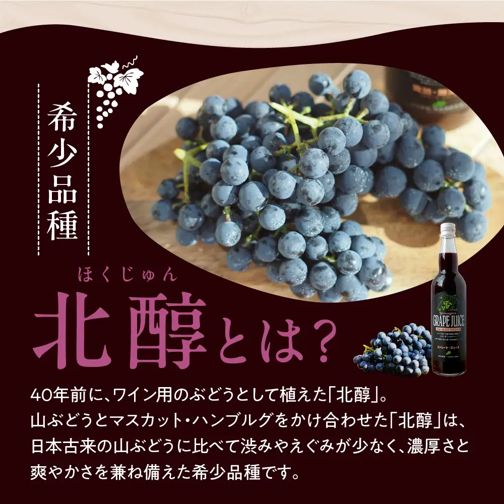 美味しい上山・山ぶどうジュース（原液）５５０ｍｌ×６本　0140-2611