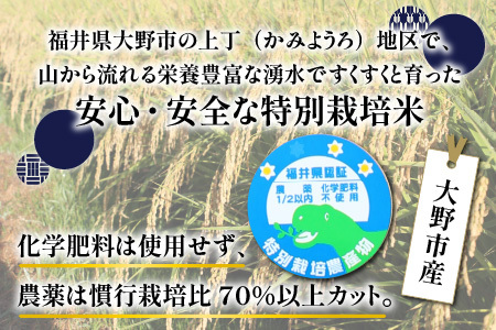 【先行予約】【令和8年産 新米】ベストファーマー ほたるの里 特別栽培こしひかり 4kg（2kg × 2袋） ＋ かぐらもち米 1.4kg 化学肥料不使用 農薬70％以上カット [A-002005]