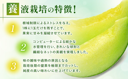 メロン 7月納品 静岡県産 アールスメロン 箱入り 1玉(約1.5kg) 果物 くだもの 果実 養液栽培 ポット 希少 甘み 島田市 静岡県