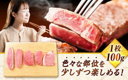 佐賀牛 ステーキ 5種 計500g 食べ比べ セット　吉野ヶ里町/ミートフーズ華松[FAY120]