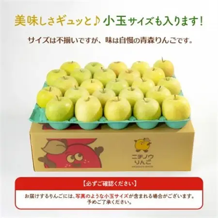 【10月～11月発送予定】平均糖度12度以上! トキ 約10kg 訳あり【配送不可地域：離島・沖縄県】【1667858】