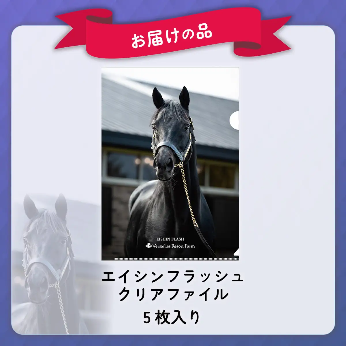 【エイシンフラッシュ】クリアファイル5枚入り BRTV033
