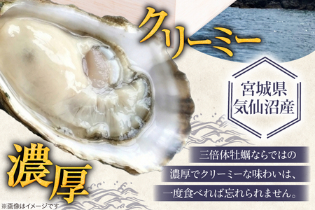 殻付き牡蠣 生食用 三倍体牡蠣 島乙女 約840g 12個入 [カネキ水産 宮城県 気仙沼市 20565985]