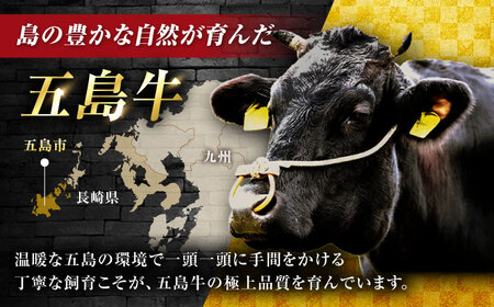 五島牛 切り落とし 600g（200g×3P）五島市/meat shop FUKU[PHF013]