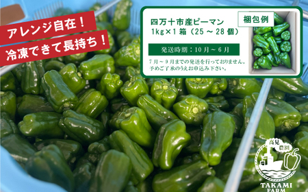 苦味が少なくておいしい！ 高見農園 のこだわり 新鮮 ピーマン 1kg 野菜 ベジタブル ぴーまん ハウス ハウスピーマン ハウス栽培 惣菜 国産 産地直送 旬 高知県 四万十 しまんと【発送時期：10月～6月】26-0036