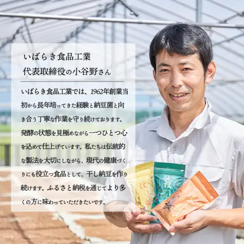 干し納豆 半生タイプ 七味入り 合計6袋 600g ほし納豆