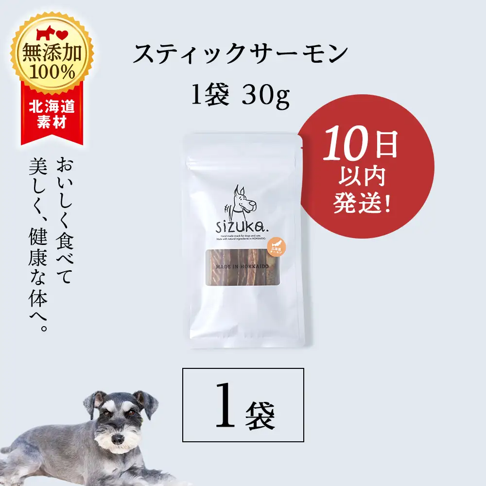 スティックサーモン 30g×1袋