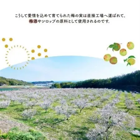 國盛 知多梅酒【1720878】