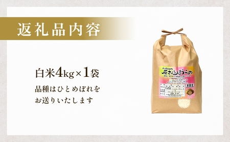 【令和8年産米先行受付】原さんちのお米 白米 ４kg ひとめぼれ 米 お米 こめ コメ  ご飯 ヒトメボレ 常温 大分県 大分 玖珠町 玖珠