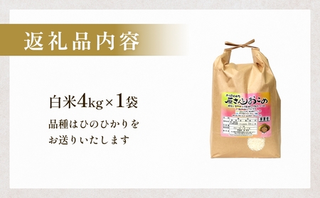 【令和8年産米先行受付】原さんちのお米 白米 ４kg ひのひかり 米 お米 こめ コメ  ご飯 ヒノヒカリ 常温 大分県 大分 玖珠町 玖珠