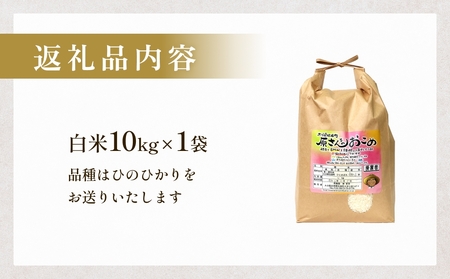【令和8年産米先行受付】原さんちのお米 白米 10kg ひのひかり 米 お米 こめ コメ  ご飯 ヒノヒカリ 常温 大分県 大分 玖珠町 玖珠