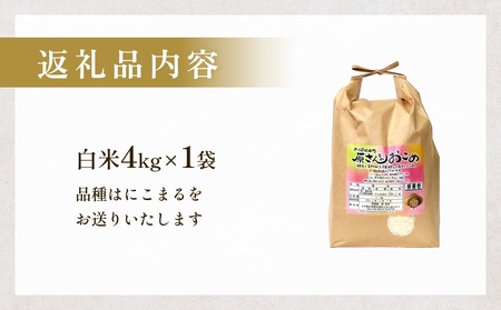 【令和8年産米先行受付】原さんちのお米 白米 ４kg にこまる 米 お米 こめ コメ ご飯  ニコマル 常温 大分県 大分 玖珠町 玖珠