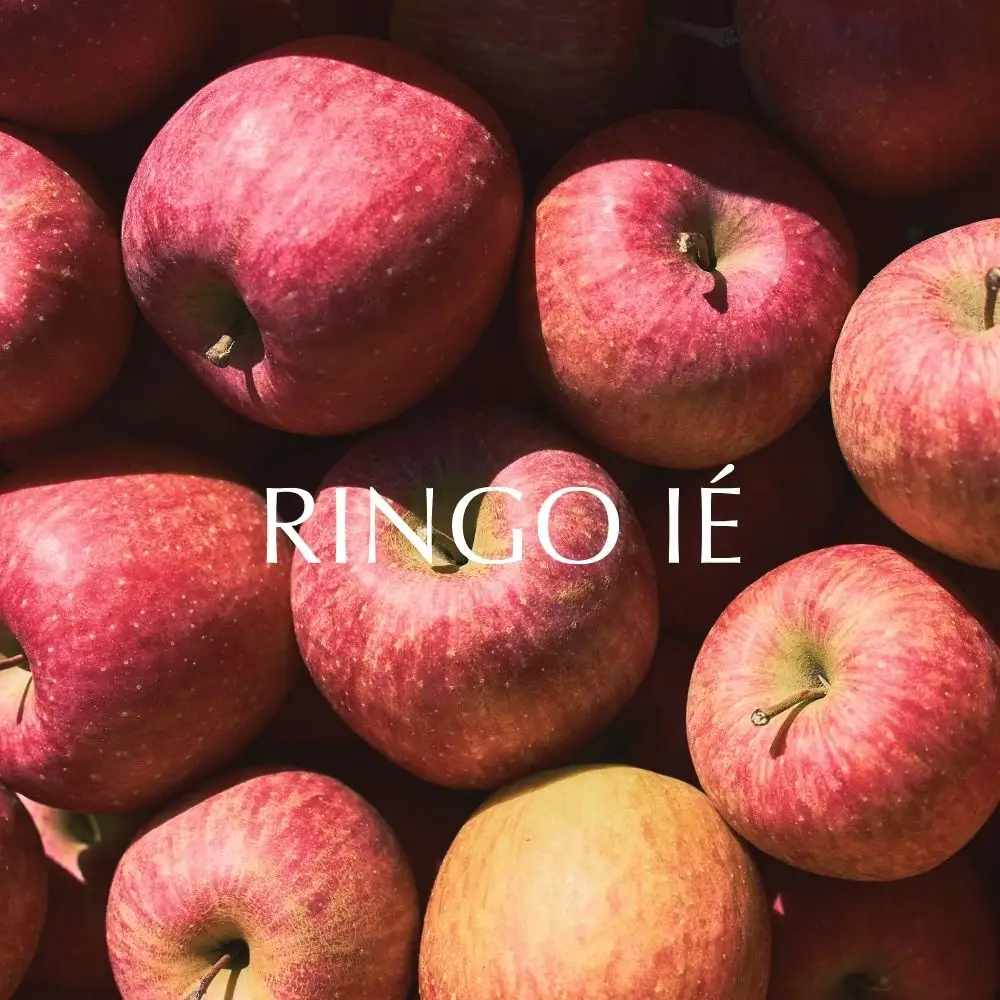 RINGO IE Apple Juice 500ml 2本 セット ( リンゴイエ りんご ジュース 山形県産 果汁 100% 無添加 ストレート 500ml ふじ ・ シナノゴールド 果汁 フルーツ 飲料 瓶ジュース アップル 数量限定 ) 飲み比べ りんごジュース リンゴジュース ギフト