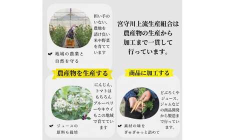 宮守楽園 ジュース 8種 合計 8本 セット | 宮守川上流生産組合 野菜 フルーツ 果物 岩手県 遠野市 宮守町 加工 100% ギフト 贈答