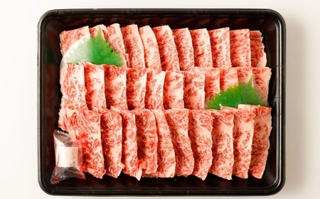 熊本あか牛特撰カルビ 約500g 肉 お肉 ニク にく 食肉 牛肉 牛 あか牛 国産 熊本県産 ヘルシー 焼肉 焼き肉 BBQ バーベギュー カルビ 冷凍