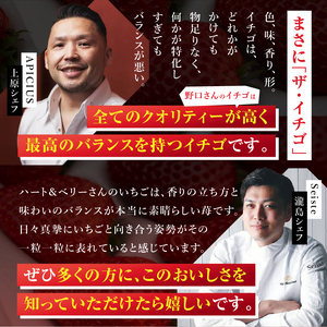 【栃木県共通返礼品】いちご 完熟とちあいか とちあいかDX 350g×2p 下野市　