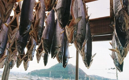 「伝統の鮭料理」 鮭の酒びたし（50g）・氷頭せんべい（50g） セット  鮭 しゃけ おつまみ 1074012