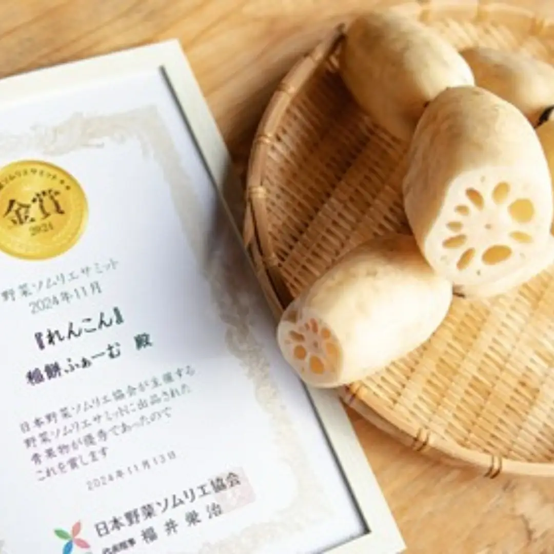 【先行予約品】蓮根粉 200g(100g×2個)＆ 五泉八代目レンコン 2kg(500g×4袋) | レンコン 蓮根 レンコンパウダー 野菜 根菜 産地直送 国産 新潟県 五泉市 稲餅ふぁーむ