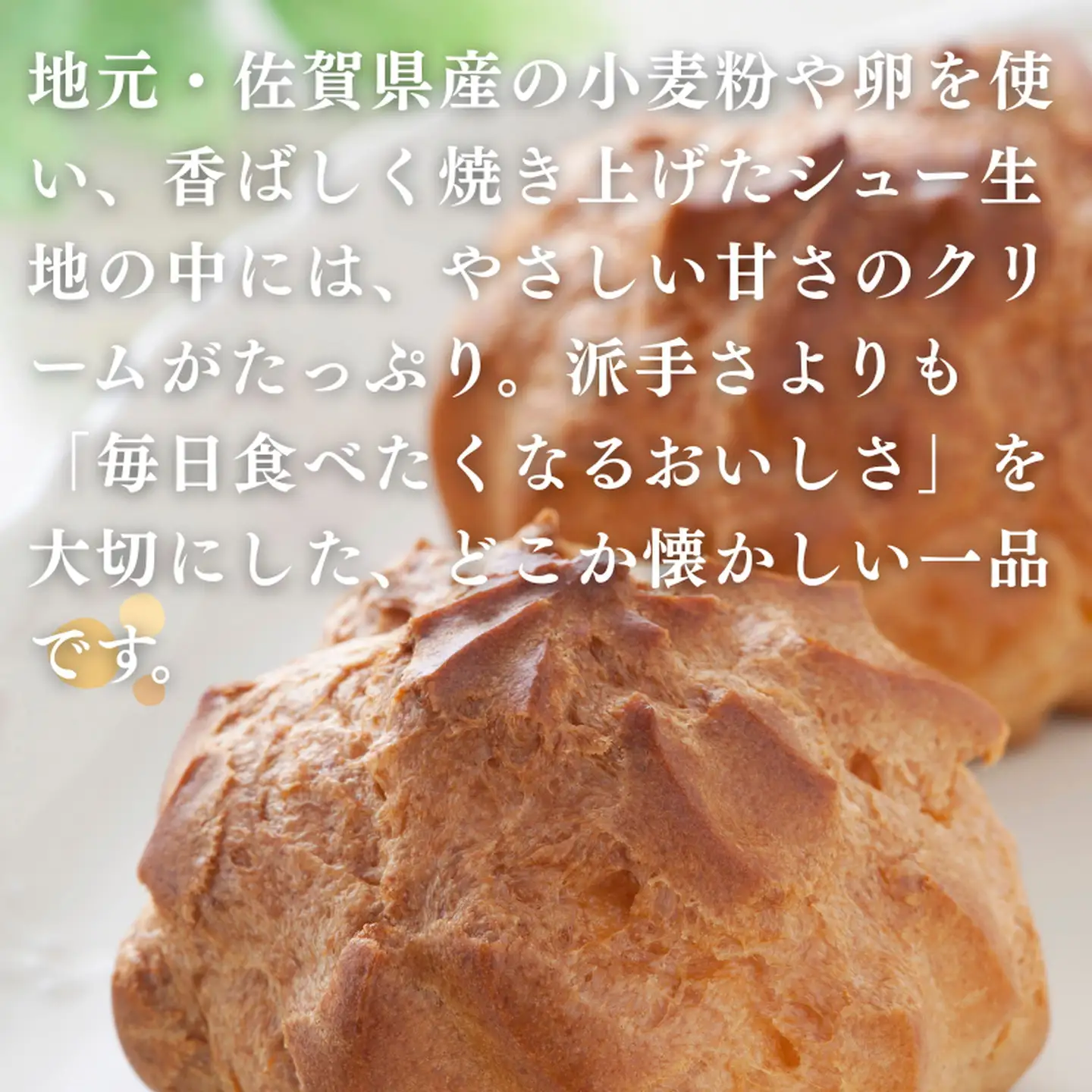 【ふるなびWEEK対象】ハルツのシュークリーム 10個：A095-055