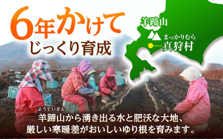 【2026年11月上旬以降発送】 ゆり根 Lサイズ 約2kg | ゆり根 ゆりね 野菜 冬野菜 産地直送 北海道 | 道の駅 真狩フラワーセンター[BPAM002]