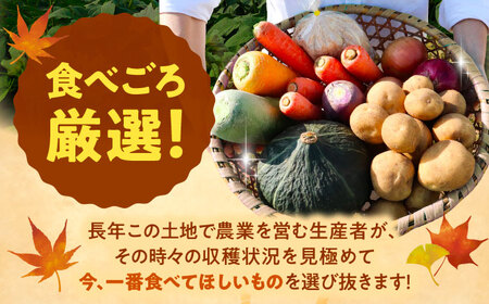 【2026年11月下旬以降発送】 秋の味覚セット（大）（じゃがいも10kg・旬の農産物詰め合わせ） | 野菜セット 野菜 じゃがいも 詰め合わせ 旬の野菜 セット 食べ比べ 北海道 | 道の駅 真狩フラワーセンター[BPAM004]