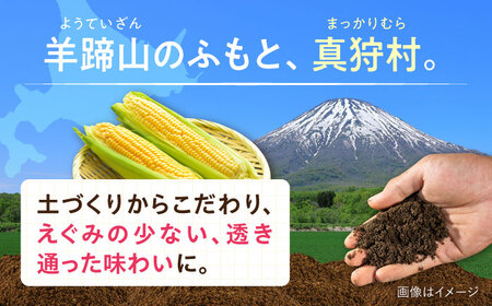 【2026年8月下旬以降順次発送】 白と黄色のとうもろこし 各5kg |  とうもろこし とうきび トウモロコシ コーン 野菜 やさい 北海道 産地直送 |  道の駅 真狩フラワーセンター[BPAM019]