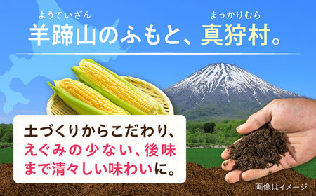 【先行予約】とうもろこし 黄 5kg  [BPAM020] とうもろこし