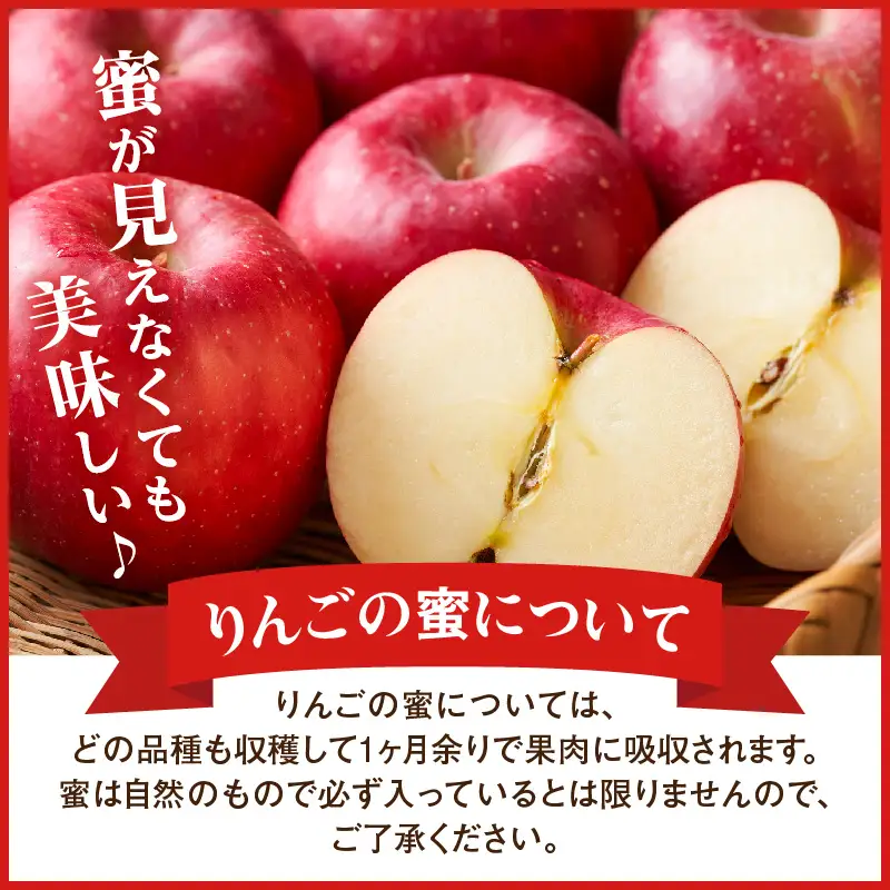 【先行予約】 令和8年産 りんご 秋陽 約2kg 山形 りんご