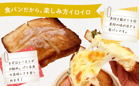 定期便 全3回 丹沢ベーカリの食パン２斤 6枚切