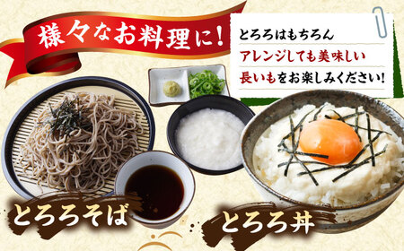 【2026年11月下旬以降順次発送】秋掘り 長いも 5kg  |  長いも 秋野菜 野菜 やさい 北海道 産地直送 |  道の駅 真狩フラワーセンター[BPAM026]