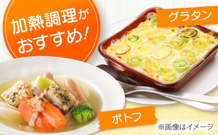 【2026年10月中旬以降順次発送】 リーキ 3kg | 野菜 ネギ ねぎ ポロネギ 西洋ねぎ リーキ | 道の駅 真狩フラワーセンター[BPAM045]