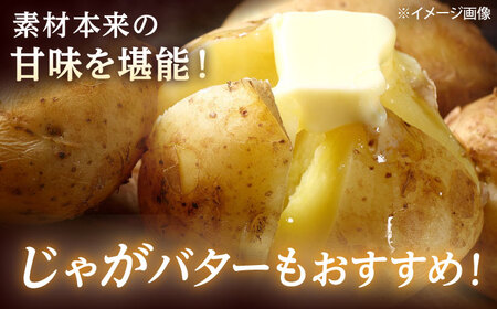 【2026年11月上旬以降順次発送】 じゃがいも キタカムイ（まっかりじゃが）5kg | 野菜 じゃがいも ジャガイモ キタカムイ 北海道 産地直送 | 道の駅 真狩フラワーセンター[BPAM048]