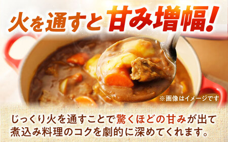 【2026年10月上旬以降順次発送】 玉ねぎ 5kg | 野菜 玉ネギ たまねぎ やさい 北海道 産地直送 | 道の駅 真狩フラワーセンター[BPAM079]