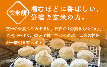 無添加 よもぎ大福と玄米もちのセット（各3パック） | 2種セット よもぎ大福 ＆ 玄米餅