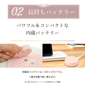 EMS ダイヤモンドパッド エクササイズ fbems01